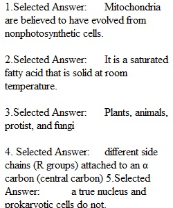 Exam 2